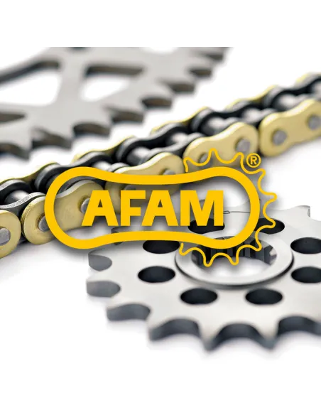 Kit de cadena AFAM 520XSR 15/42-110 - corona standard