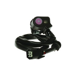 Botón de selector de mapa RFX Race - Tipo OEM