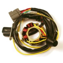Estátor con bobina de encendido ELECTROSPORT - Suzuki RM-Z250