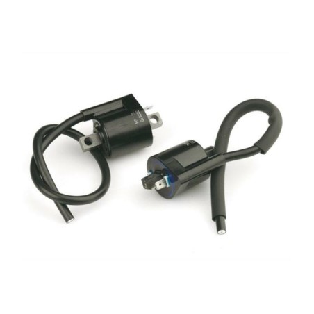 Bobina TOP PERFORMANCES motor Minarelli 50cc volante japonés