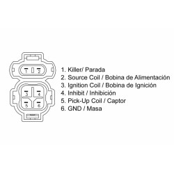 CDI TECNIUM - Honda TRX 400