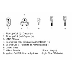 CDI TECNIUM - Polaris Sportsman 335