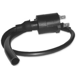 Bobina DZE 4018 TRX 400/450 Encendido elec. CDI