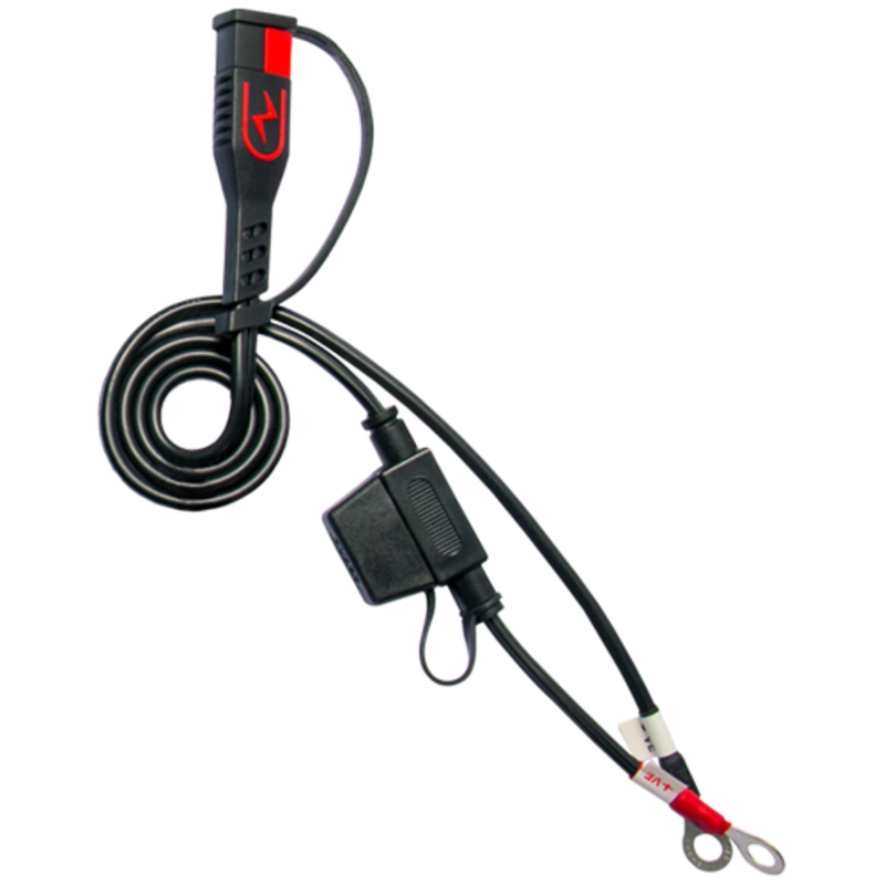 Cargador de bateria inteligente BS Battery BS30 - 12V 3A