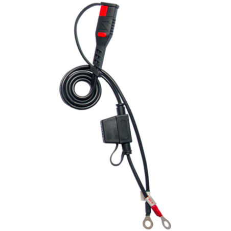 Cargador de bateria inteligente Pro BS Battery BS60 - 12V 1/4/6A