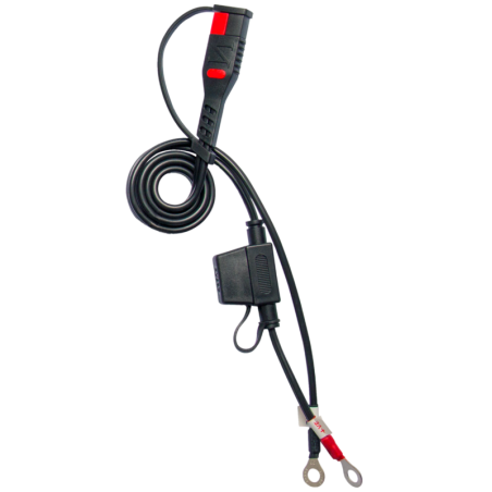 Cargador de bateria inteligente BS BATTERY BS10 - 6/12V 1A