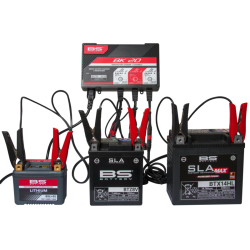 Cargador de bateria inteligente BS Battery BK20 6V/12V 3x2A