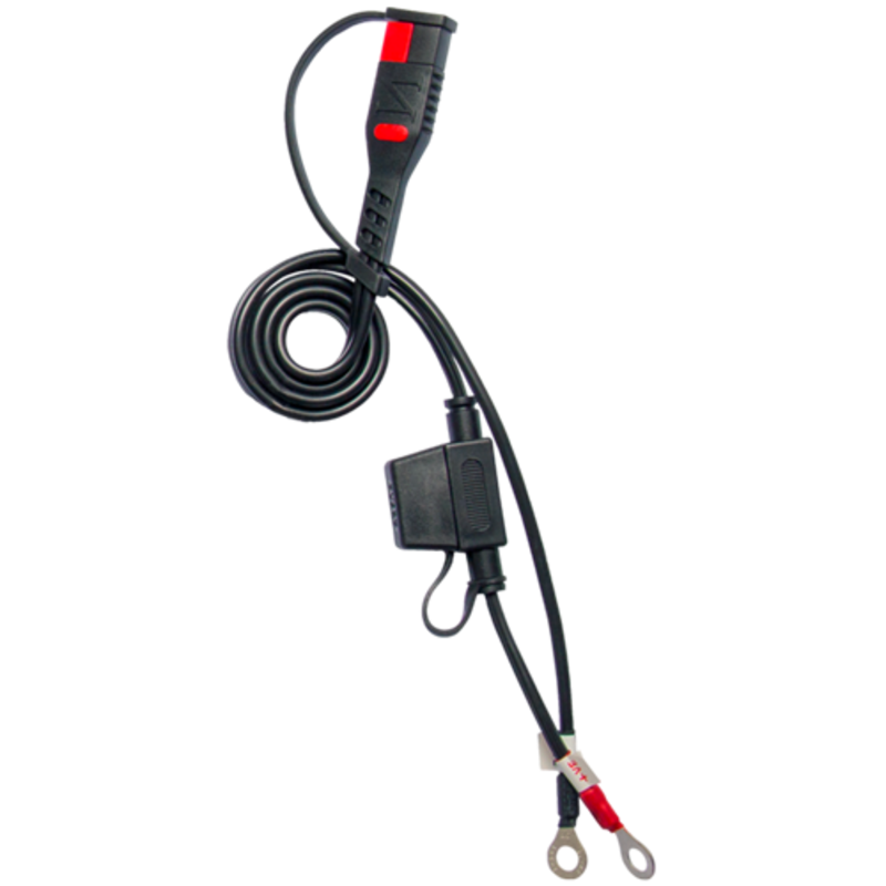 Cargador de bateria inteligente BS BATTERY BS15