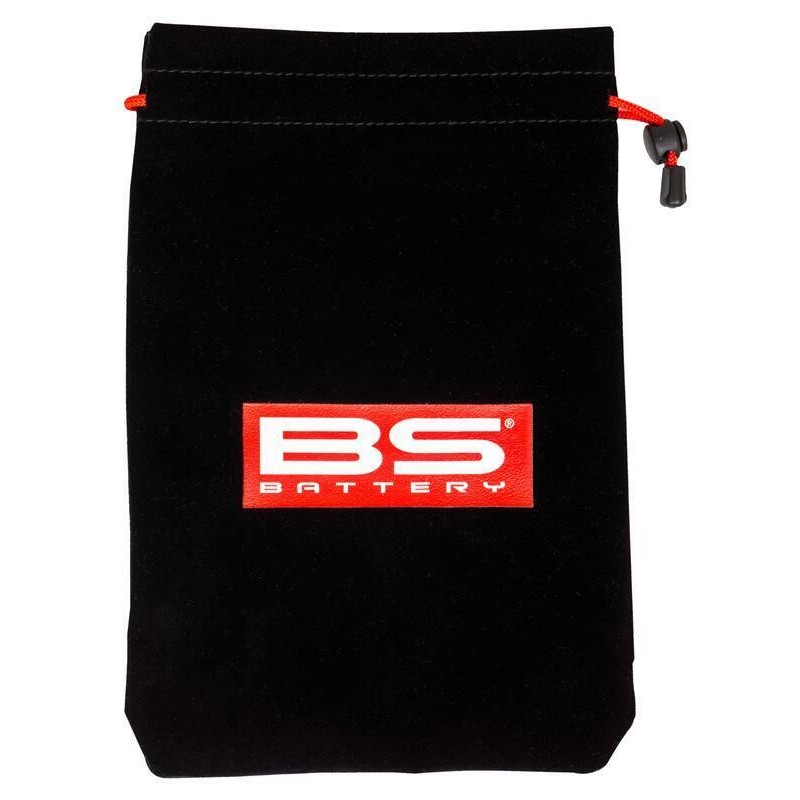 Cargador de bateria inteligente BS BATTERY BS15