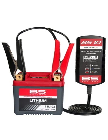 Kit cargadores BS10 BS BATTERY 10+1