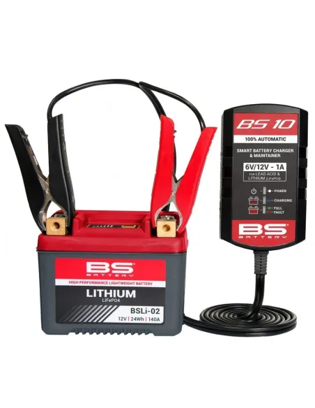 Kit cargadores BS10 BS BATTERY 10+1