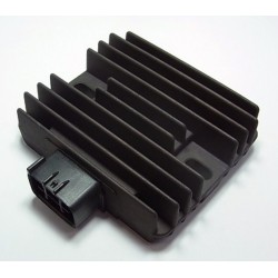 Regulador de corriente Tourmax ER6-N