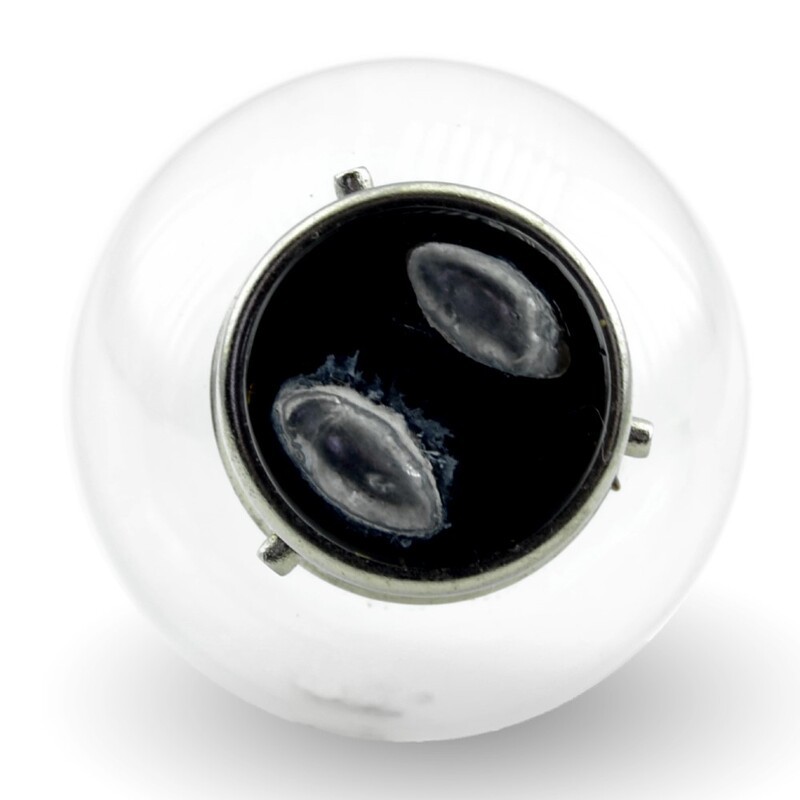 Lámpara V PARTS G40 BA21D 12V 45 / 40W Blanca