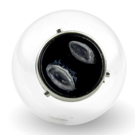 Lámpara V PARTS G40 BA21D 12V 45 / 40W Blanca