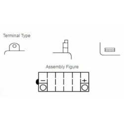 Batería YUASA YB12AL-A DC 2