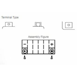 Yuasa battery YTZ8V Wet charged (cargada y activada) 2