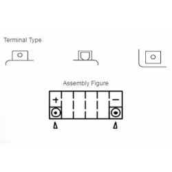 Batería YUASA YTX14-BS Combipack (con electrolito) 2