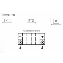 Batería YUASA YTX14L-BS Combipack (con electrolito) 2