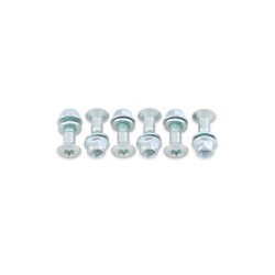 Pack de 6 Tornillos de corona Bolt Plata - cabeza Torx
