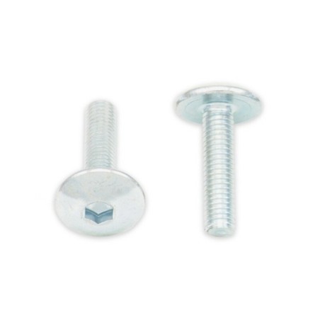 Tornillos cabeza redonda plana BOLT M5 x 0,80 x 12mm