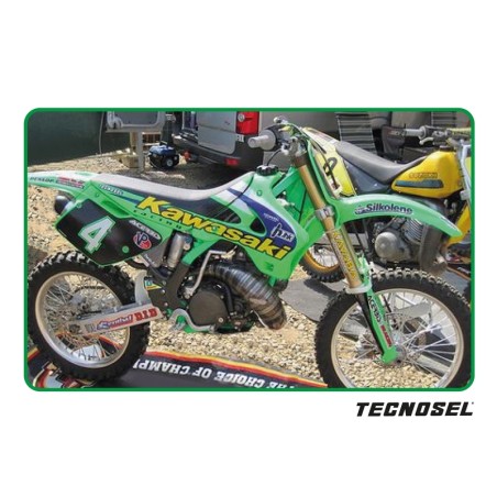 Kit adhesivos completo TECNOSEL Team Kawasaki 1998