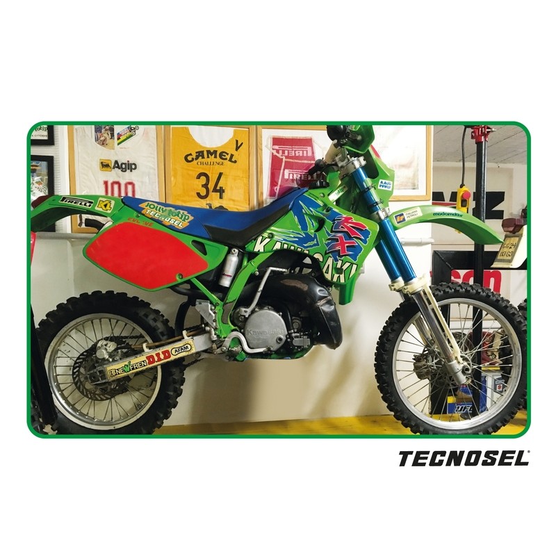 Kit adhesivos completo TECNOSEL Team Kawasaki 1993
