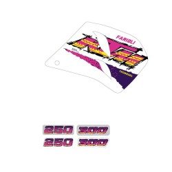 Kit adhesivos TECNOSEL Replica Team KTM Enduro 1994