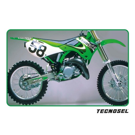 Kit adhesivos TECNOSEL Team OEM Kawasaki 2000