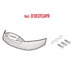 Recambio CATAD. PINTADO SH37 2012