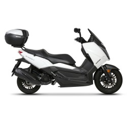 Fijaciones Shad Top Master Wottan 125 18