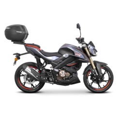 Fijación SHAD Top Master