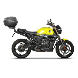 Fijación Top master SHAD