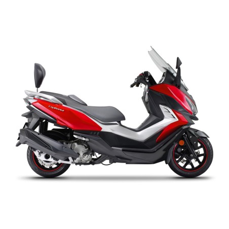 Kit de montaje de Respaldo SYM Cruisym 300i 18-