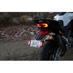 Kit de fijación de la luz de matrícula DENALI