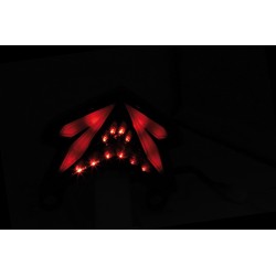 HIGHSIDER smart LED taillight for KAWASAKI NINJA ZX-6 R, Z 800 2