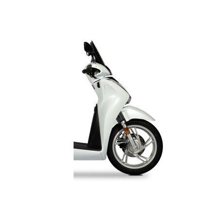 Cúpula MALOSSI Sport - Ahumado oscuro