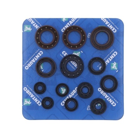 Kit de retenes de motor CENTAURO