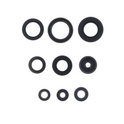 Kit de retenes de motor CENTAURO