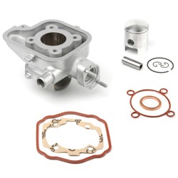 Cilindro de aluminio AIRSAL 49,2cc Ludix agua (02025440)