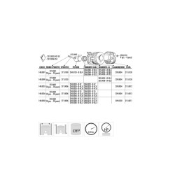 Kit de cilindro completo POLINI hierro Ø55mm 2
