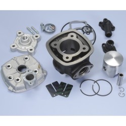 Kit Polini PIAGGIO QUARTZ-NRG D.47 H20 (1400183)