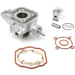 Cilindro de aluminio AIRSAL 69,7cc Ludix agua (020255476)