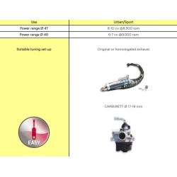Grupo térmico MALOSSI hierro con bulón ø 10 2