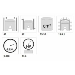 Kit grupo térmico Polini Minarelli Serie 6000, carrera 42, 80 cc 2
