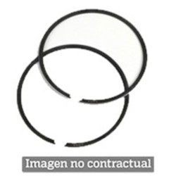 SEGMENTO POLINI D.61X1,5 (206.0190)