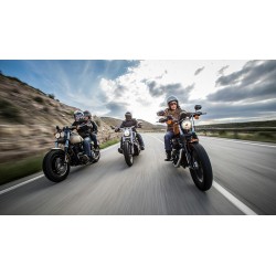 Neumático MICHELIN SCORCHER 11 (HARLEY-D) 130/60 B 21 M/C 63H TL 2