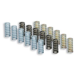 Kit de muelles de embrague MALOSSI Racing para embrague original