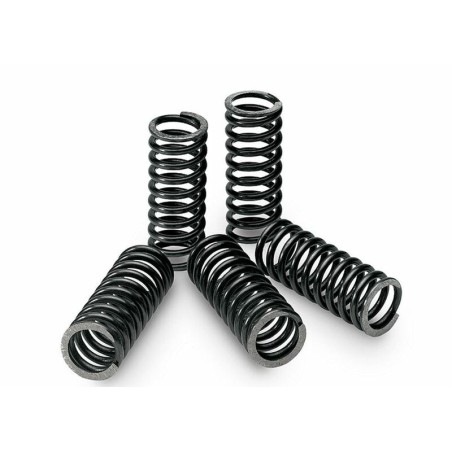 Kit de muelles de embrague TECNIUM