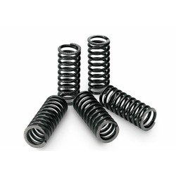 Kit de muelles de embrague TECNIUM