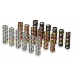 Kit de muelles de embrague MALOSSI Racing Yamaha T-MAX 530 12-15 2915602